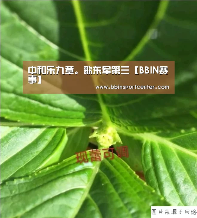 BBIN下载