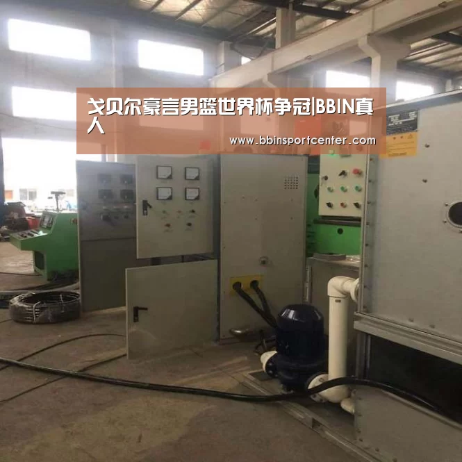 戈贝尔豪言男篮世界杯争冠|BBIN真人(图3) BBIN百家乐