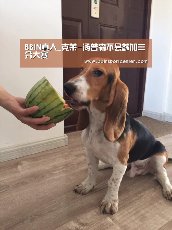 BBIN赛事