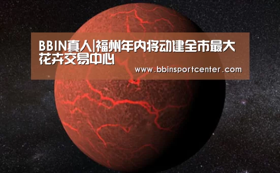 BBIN下载