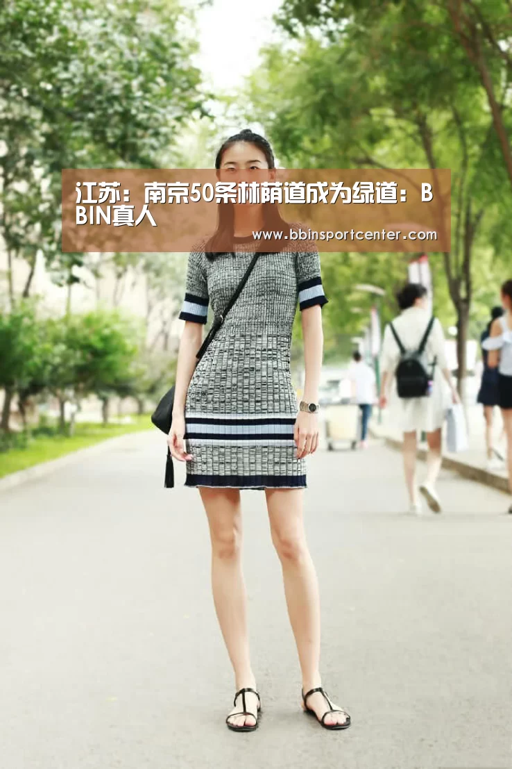 江苏:南京50条林荫道成为绿道:BBIN真人(图1) BBIN下载